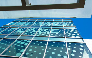 win-con westchase whole food-360