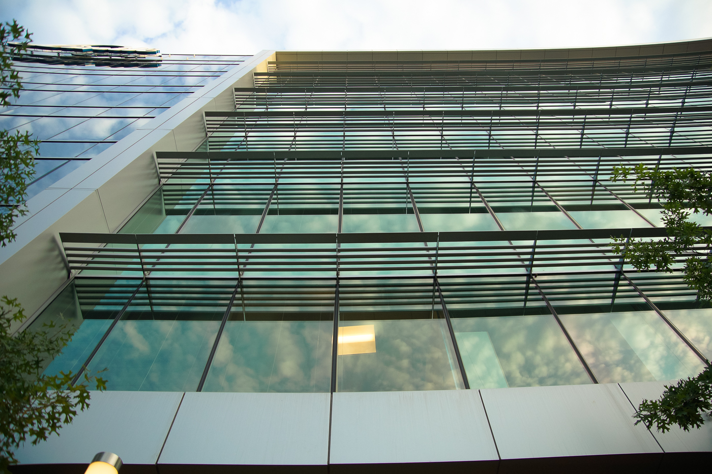 wood-branch-win-con-3