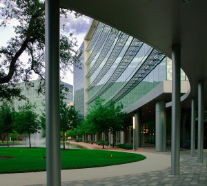 wood-branch-win-con-6