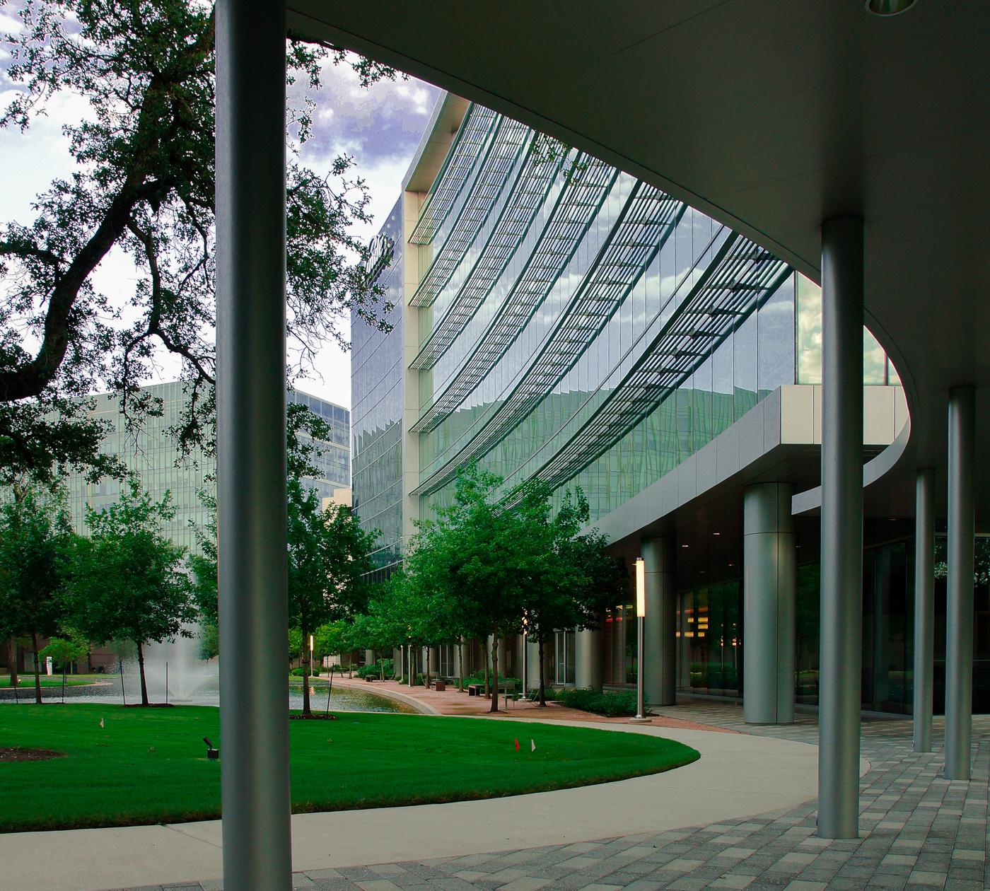 wood-branch-win-con-6