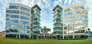 wood-branch-win-con-7